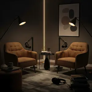 YouTube Vlogs and Podcasts​